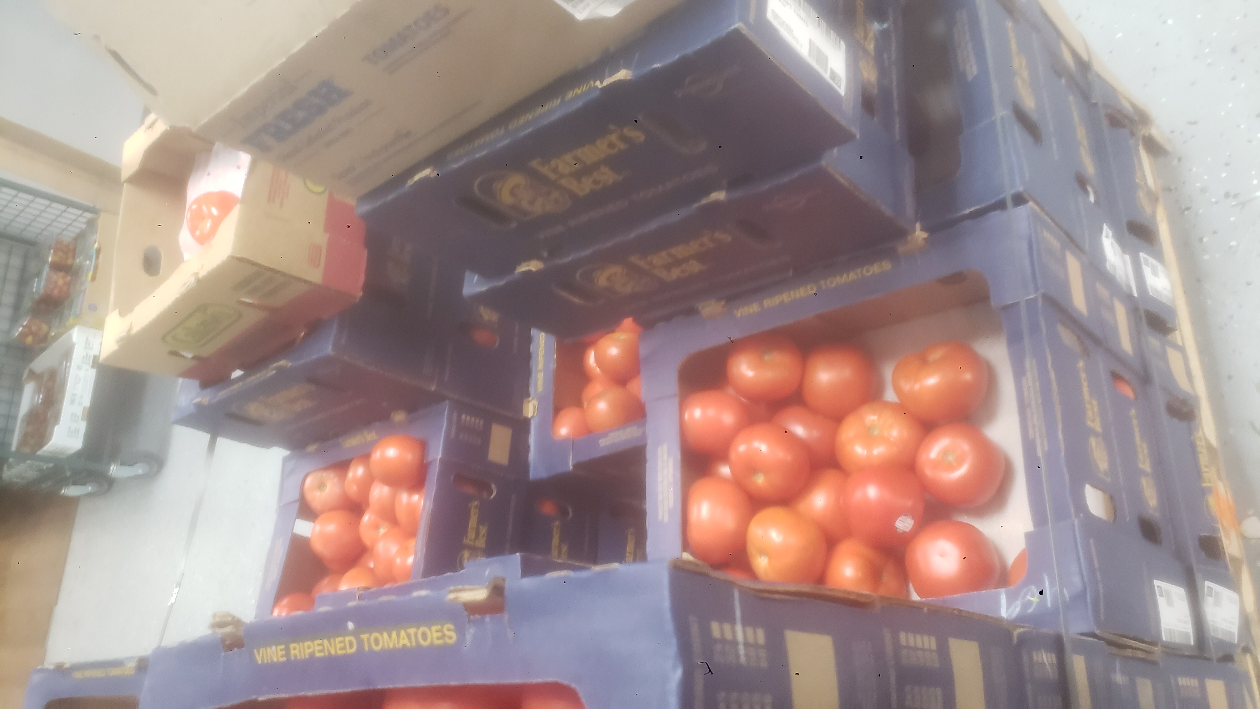 Produce trays of tomatoes.
